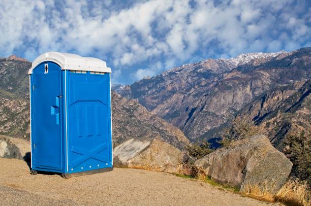 Best Sanitation services for porta potties  in Pioche, NV